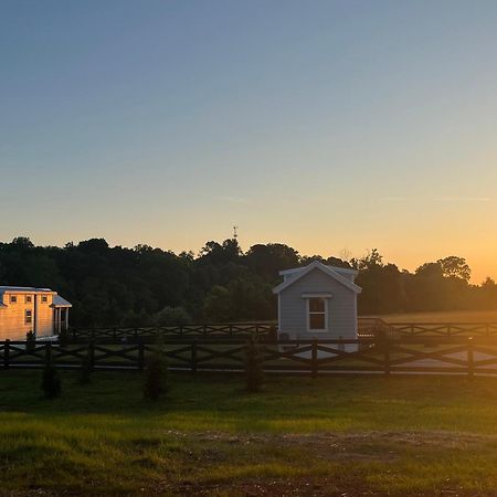 Luxury Riverfront Tiny House- Amazing Views- #111 Strawberry Plains المظهر الخارجي الصورة